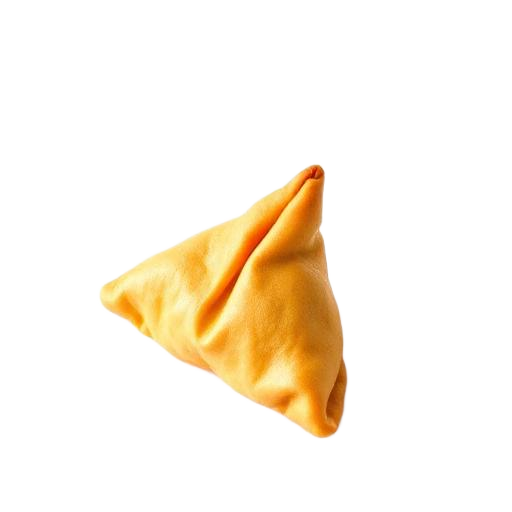 A crispy samosa
